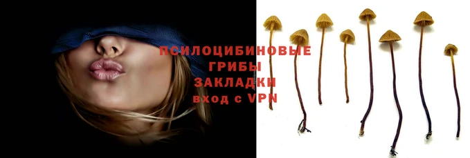 дмт Верея