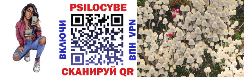 купить наркоту  Очёр  Псилоцибиновые грибы MAGIC MUSHROOMS 